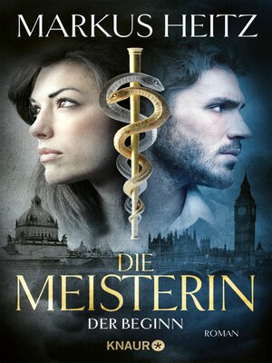 cover image of Die Meisterin